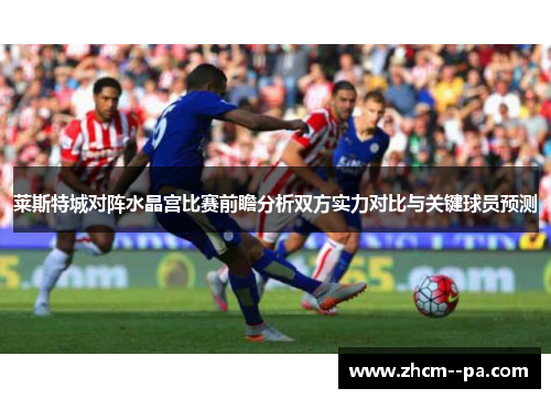 莱斯特城对阵水晶宫比赛前瞻分析双方实力对比与关键球员预测